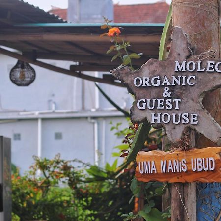 Uma Manis Ubud Hotel Exterior foto